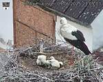 Capi_Dubne_20250609_210503.jpg