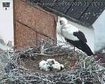 Capi_Dubne_20250609_211503.jpg