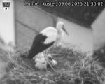 Capi_Dubne_20250609_213002.jpg