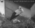Capi_Dubne_20250609_213502.jpg