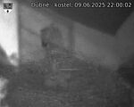 Capi_Dubne_20250609_220002.jpg