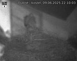 Capi_Dubne_20250609_221003.jpg
