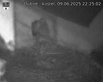 Capi_Dubne_20250609_222502.jpg