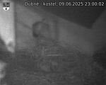 Capi_Dubne_20250609_230003.jpg