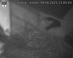 Capi_Dubne_20250609_230503.jpg