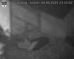 Capi_Dubne_20250609_231502.jpg