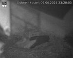 Capi_Dubne_20250609_232003.jpg