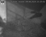 Capi_Dubne_20250609_232502.jpg