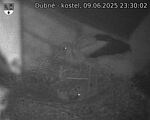 Capi_Dubne_20250609_233003.jpg
