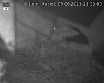 Capi_Dubne_20250609_233503.jpg