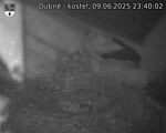 Capi_Dubne_20250609_234002.jpg