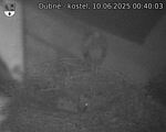 Capi_Dubne_20250610_004003.jpg