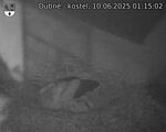 Capi_Dubne_20250610_011502.jpg
