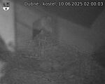 Capi_Dubne_20250610_020003.jpg