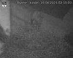 Capi_Dubne_20250610_021503.jpg