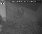 Capi_Dubne_20250610_022502.jpg