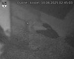 Capi_Dubne_20250610_024503.jpg