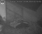 Capi_Dubne_20250610_025502.jpg