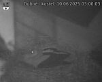 Capi_Dubne_20250610_030003.jpg