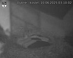 Capi_Dubne_20250610_031002.jpg