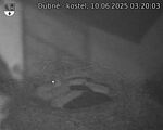 Capi_Dubne_20250610_032003.jpg