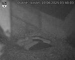 Capi_Dubne_20250610_034003.jpg