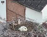 Capi_Dubne_20250610_045002.jpg