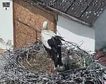 Capi_Dubne_20250610_123503.jpg