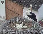 Capi_Dubne_20250610_180503.jpg