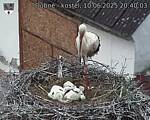 Capi_Dubne_20250610_204003.jpg