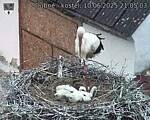 Capi_Dubne_20250610_210503.jpg