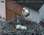 Capi_Dubne_20250610_211502.jpg