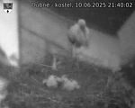 Capi_Dubne_20250610_214002.jpg