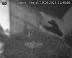Capi_Dubne_20250610_214503.jpg