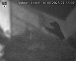 Capi_Dubne_20250610_215502.jpg
