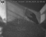 Capi_Dubne_20250610_220502.jpg