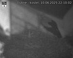 Capi_Dubne_20250610_221002.jpg