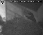 Capi_Dubne_20250610_222002.jpg
