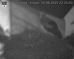Capi_Dubne_20250610_222503.jpg