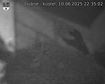 Capi_Dubne_20250610_223502.jpg