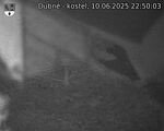 Capi_Dubne_20250610_225003.jpg