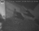 Capi_Dubne_20250610_225502.jpg
