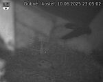 Capi_Dubne_20250610_230502.jpg