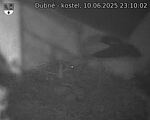 Capi_Dubne_20250610_231002.jpg