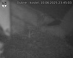 Capi_Dubne_20250610_234503.jpg
