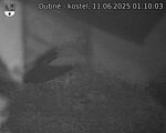 Capi_Dubne_20250611_011003.jpg