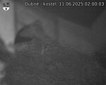 Capi_Dubne_20250611_020003.jpg