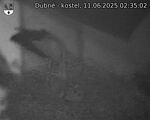 Capi_Dubne_20250611_023502.jpg