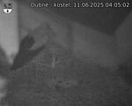 Capi_Dubne_20250611_040502.jpg