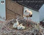 Capi_Dubne_20250611_202503.jpg